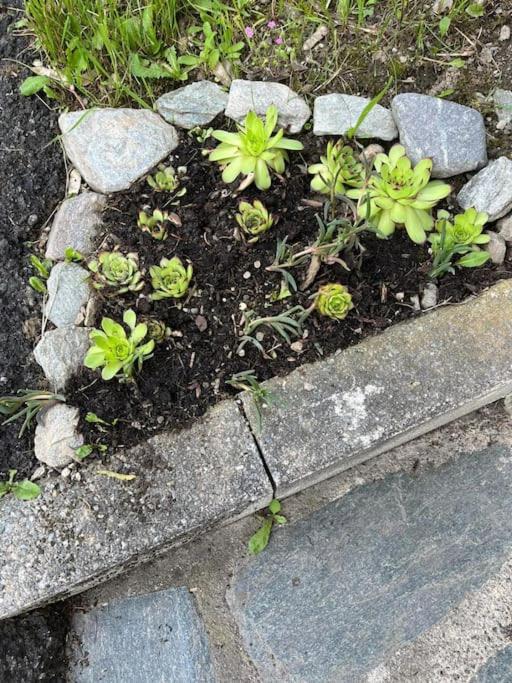 La Casetta Delle Nuvole Mazzo di Valtellina Exterior foto